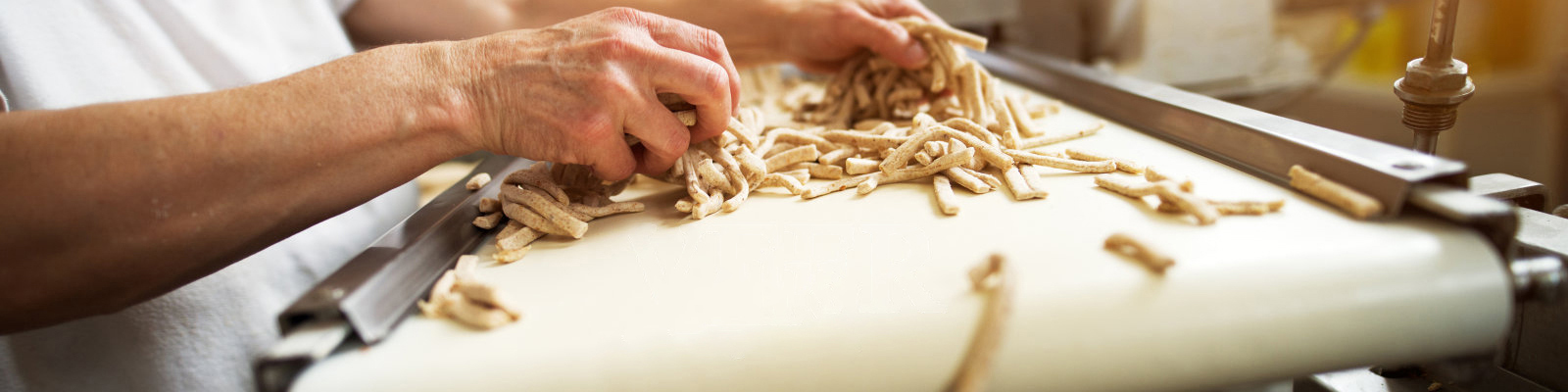 Un lavoratore maturo e attento sta spargendo l'impasto del bastoncino di sale sul trasportatore della linea di produzione di alimenti sani per l'ulteriore lavorazione.