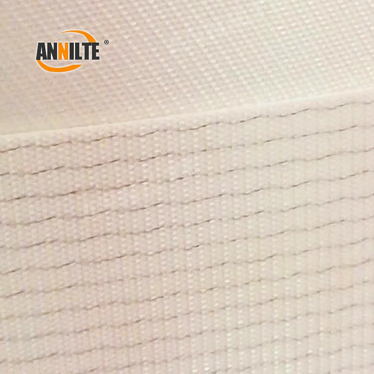 https://www.annilte.net/polyester-conveyor-belt-for-cookies-biscuits-and-bakery-product/