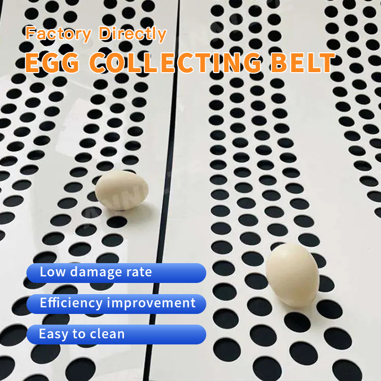 https://www.annilte.net/annilte-perforated-pp-egg-conveyor-belt-product/
