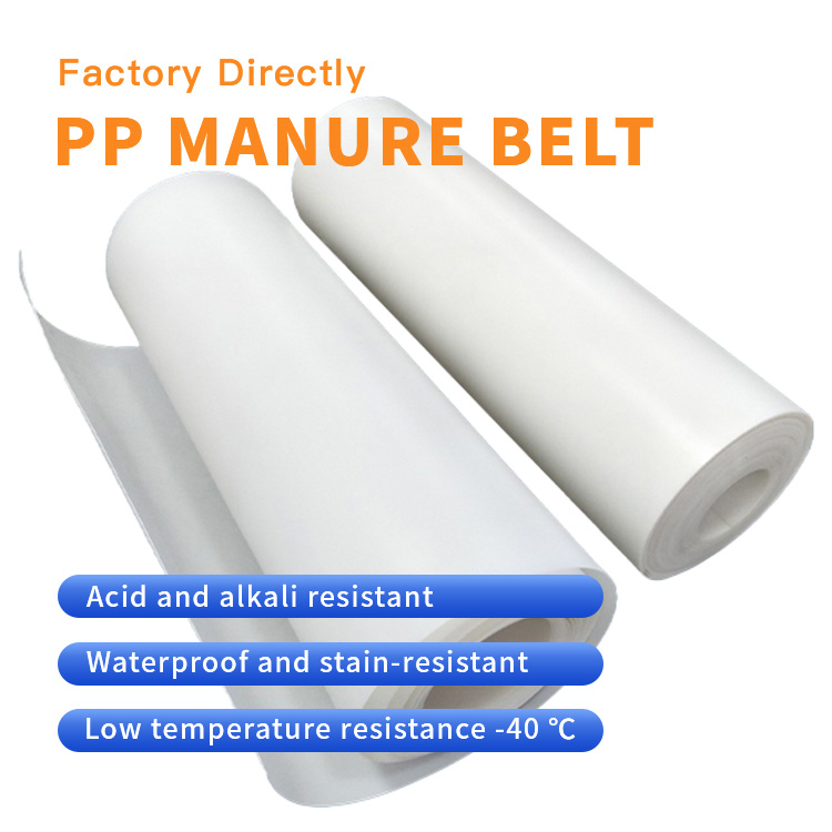 https://www.annilte.net/annilte-1-0mm-1-2mm-new-poultry-plastic-conveyor-belt-pp-dung-chicken-manure-cleaning-belt-for-manure-cleaning-product/