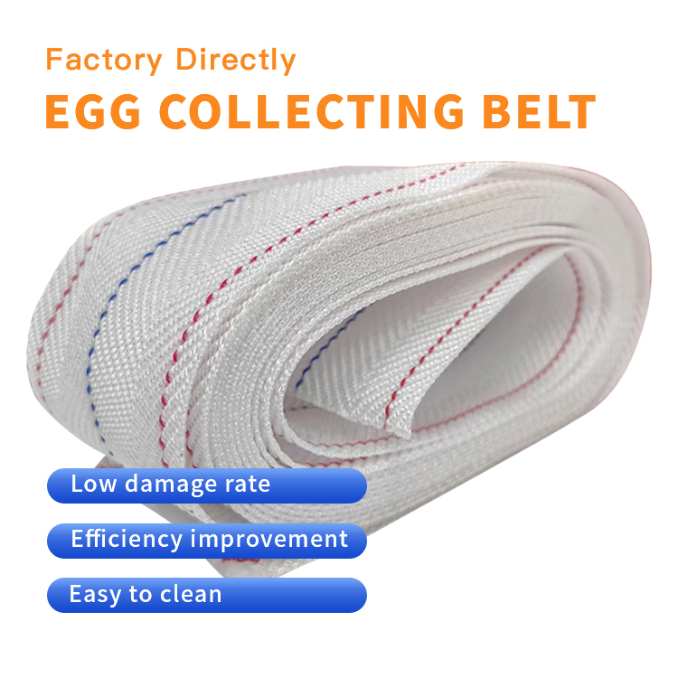 https://www.annilte.net/egg-collection-belt-product/