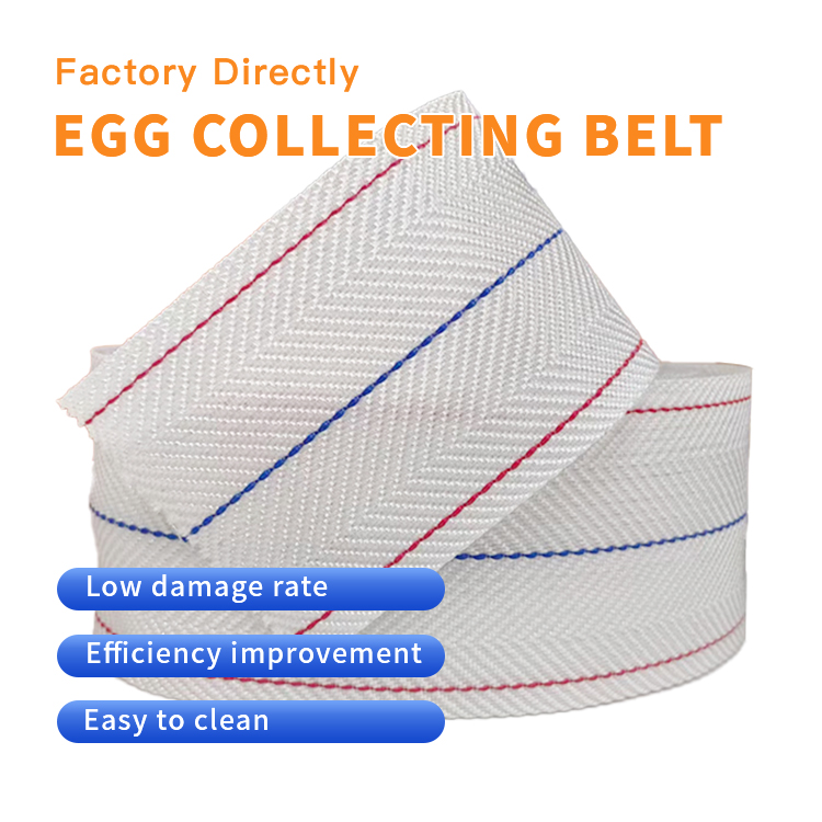 https://www.annilte.net/egg-collection-belt-product/