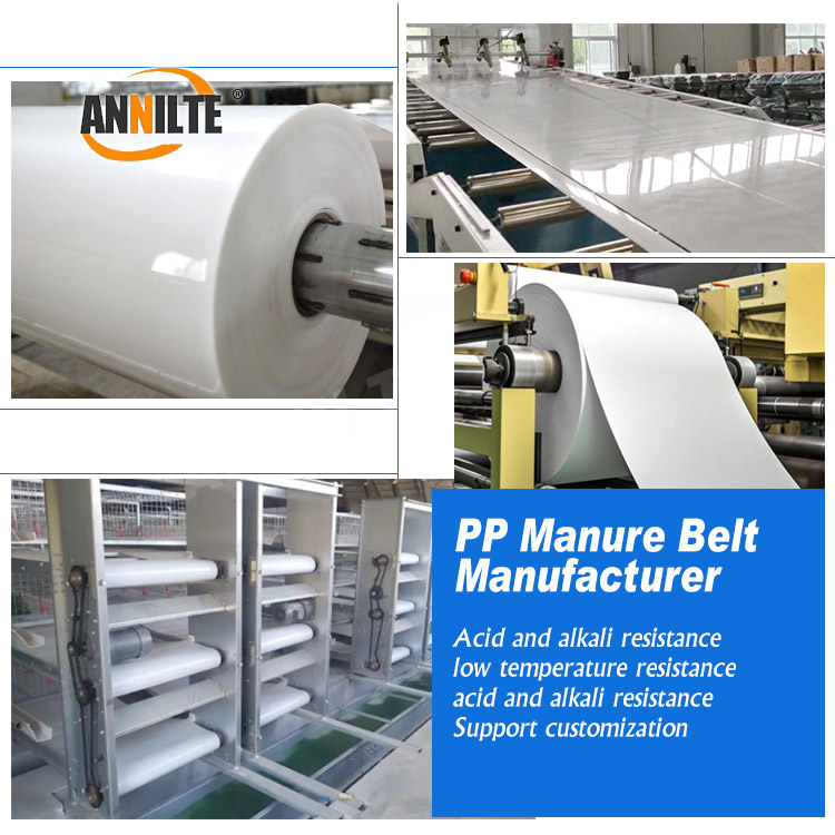 https://www.annilte.net/annilte-1-0mm-1-2mm-new-poultry-plastic-conveyor-belt-pp-dung-chicken-manure-cleaning-belt-for-manure-cleaning-product/