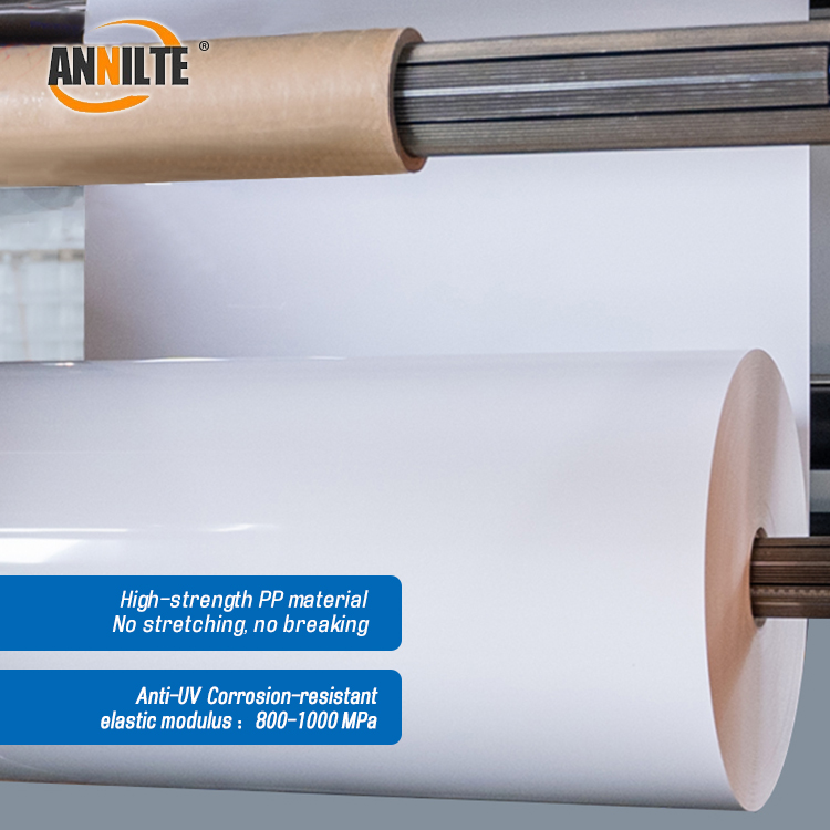 https://www.annilte.net/pp-manure-removal-belt-product/