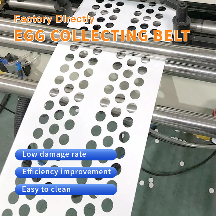 https://www.annilte.net/perforated-egg-picking-belt%ef%bc%8cperforated-egg-conveyor-belt-product/