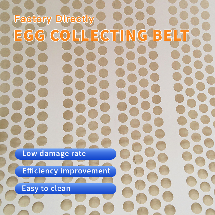 https://www.annilte.net/perforated-egg-conveyor-belt-product/