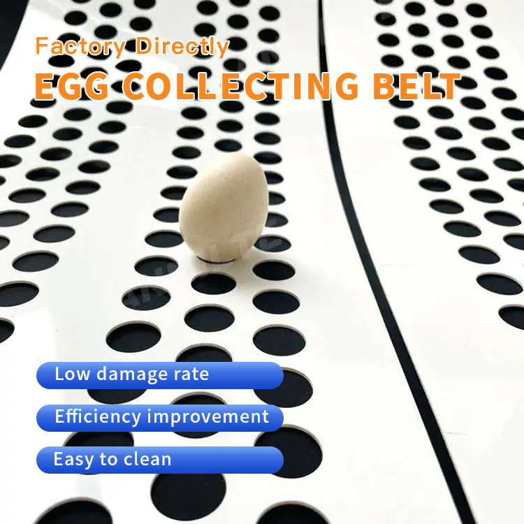 https://www.annilte.net/annilte-perforated-pp-egg-conveyor-belt-product/