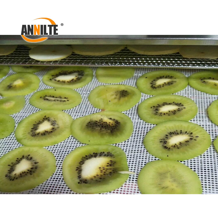 https://www.annilte.net/polyester-mesh-belt-for-food-drying-product/