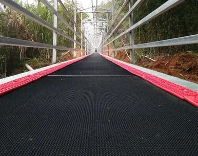 https://www.annilte.net/annilte-popular-magic-carpet-conveyor-belt-ski-skiing-conveyor-belt-product/