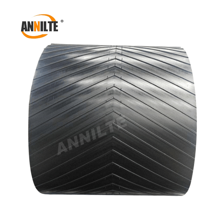 coconut shell conveyor belt