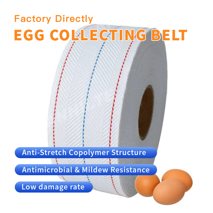 https://www.annilte.net/egg-collection-belt-product/