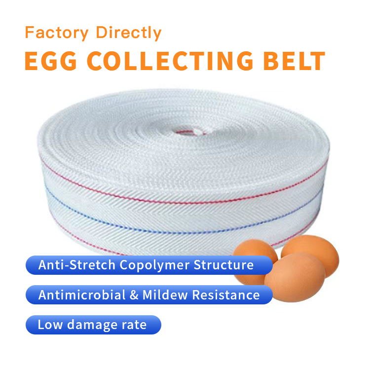 https://www.annilte.net/egg-collection-belt-product/