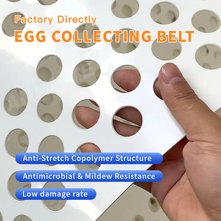 https://www.annilte.net/perforated-egg-conveyor-belt-product/