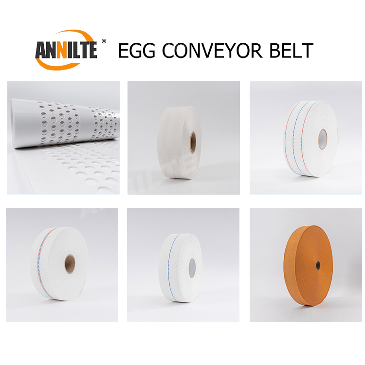 egg belt02