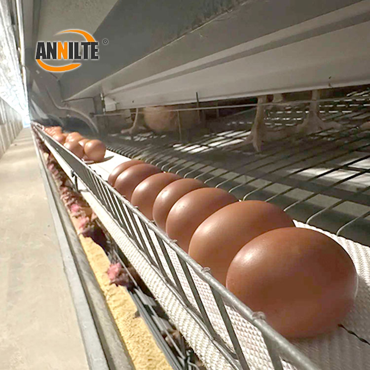 https://www.annilte.net/egg-collection-belt-product/