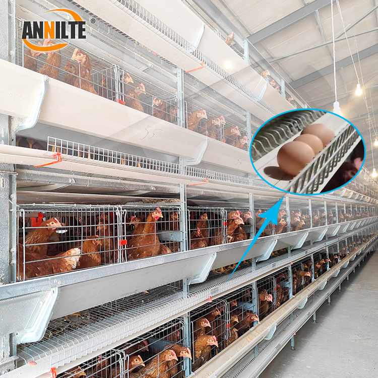 https://www.annilte.net/annilte-egg-collection-belt-factorysupport-custom-product/