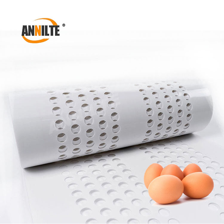 https://www.annilte.net/egg-collection-belt-product/