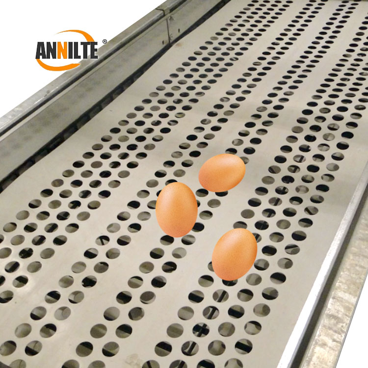 https://www.annilte.net/perforated-egg-conveyor-belt-product/