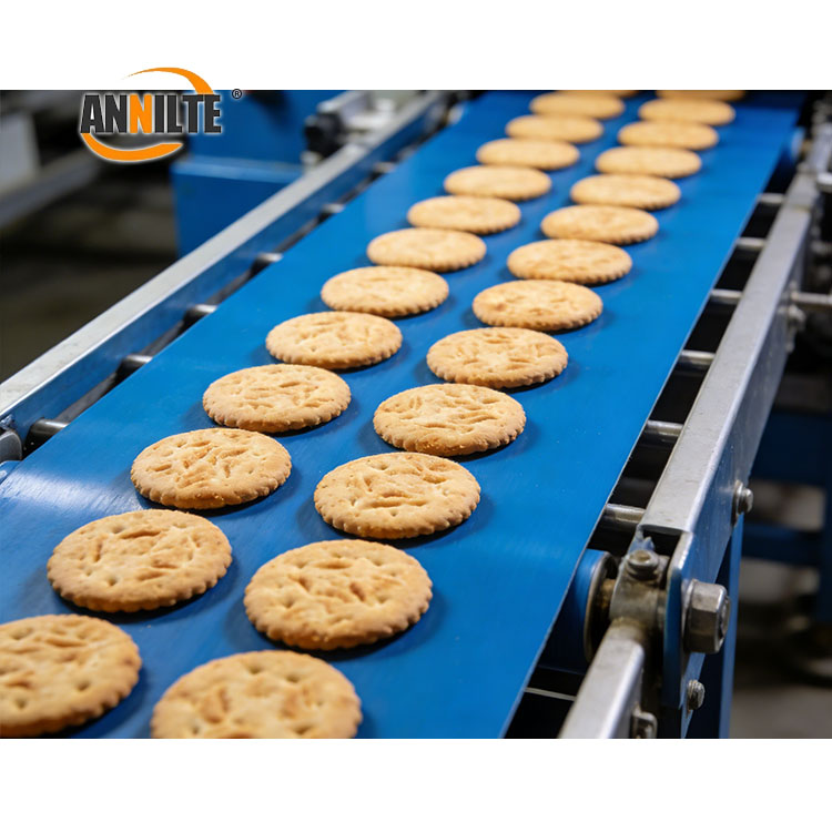 https://www.annilte.net/high-quality-pu-food-conveyor-belt-factory-product/