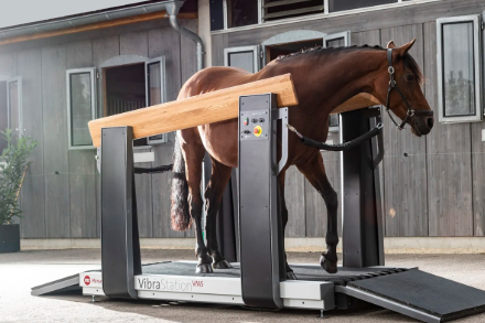 https://www.annilte.net/annilte-horse-treadmill-belt-for-horse-walker-product/
