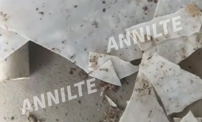 https://www.annilte.net/annilte-manure-removal-belts-product/