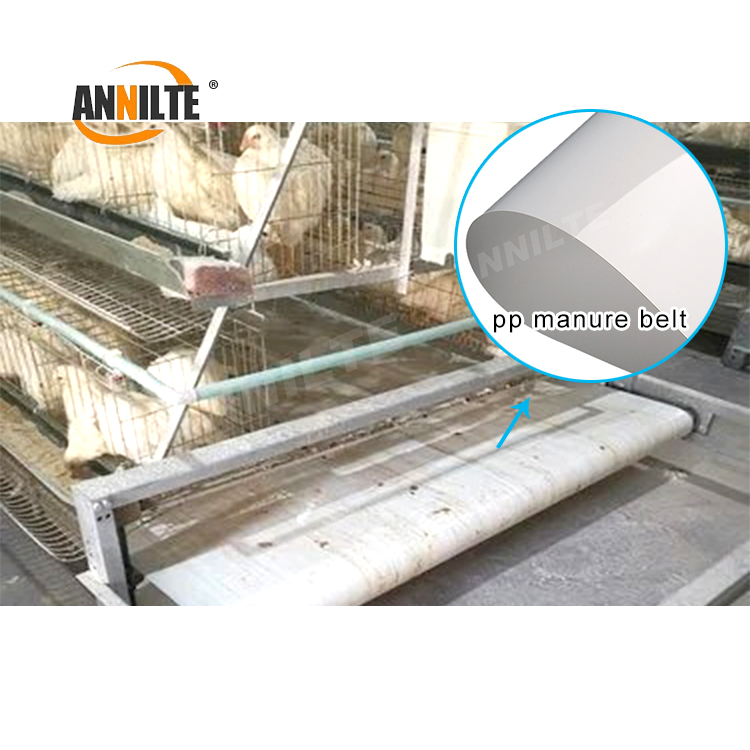 https://www.annilte.net/pp-manure-removal-belt-product/