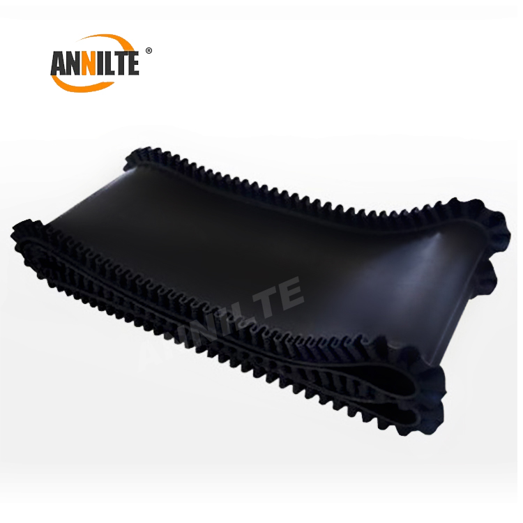 Coal feeder belt
